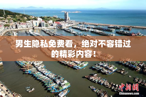 男生隐私免费看，绝对不容错过的精彩内容！