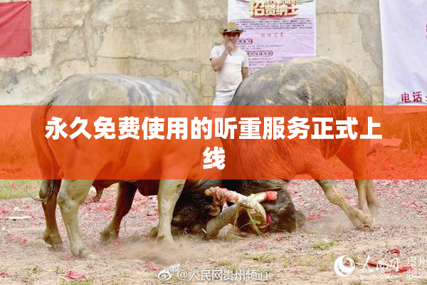 永久免费使用的听重服务正式上线