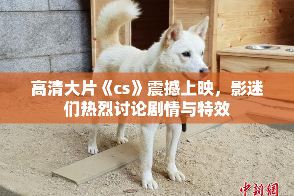 高清大片《cs》震撼上映，影迷们热烈讨论剧情与特效