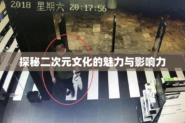 探秘二次元文化的魅力与影响力