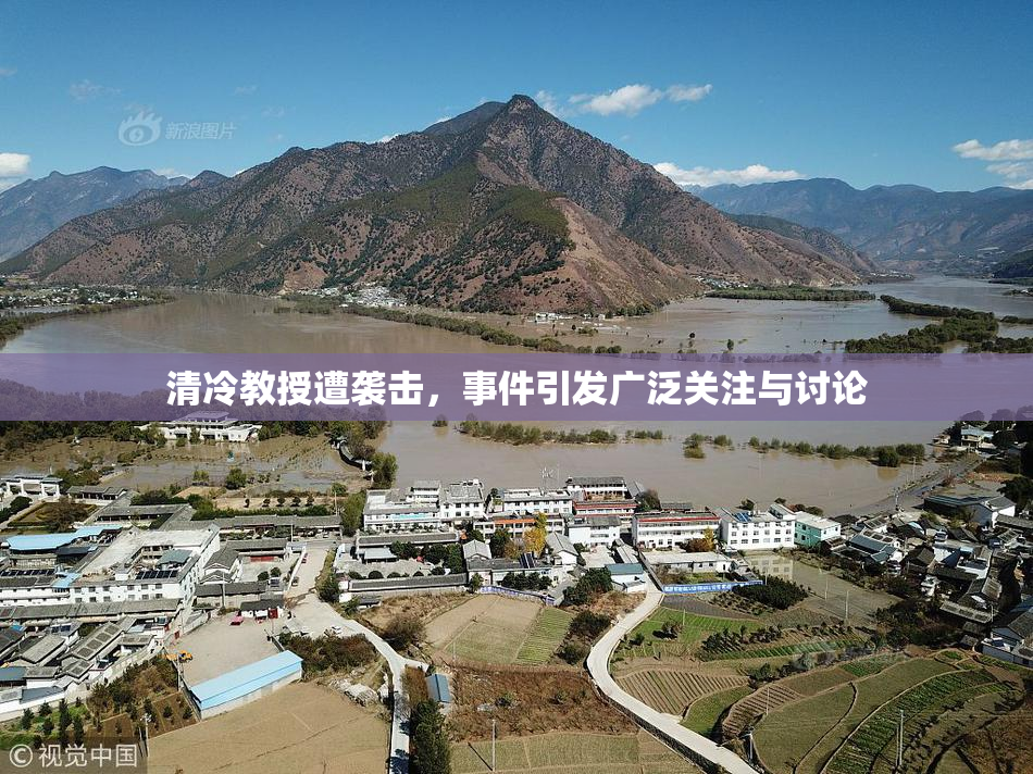 清冷教授遭袭击，事件引发广泛关注与讨论