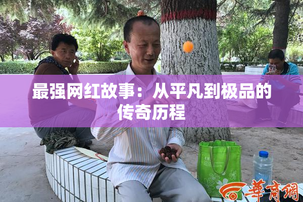 最强网红故事：从平凡到极品的传奇历程