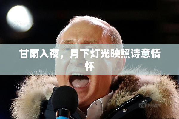 甘雨入夜，月下灯光映照诗意情怀