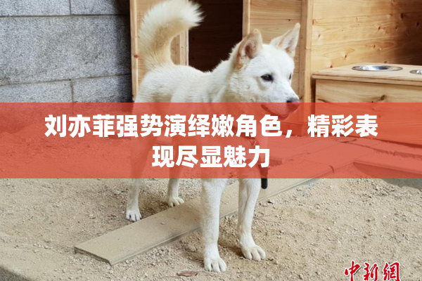 刘亦菲强势演绎嫩角色，精彩表现尽显魅力