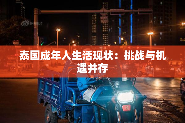 泰国成年人生活现状：挑战与机遇并存