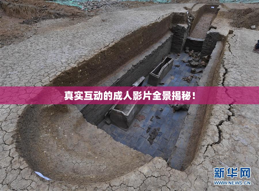 真实互动的成人影片全景揭秘！