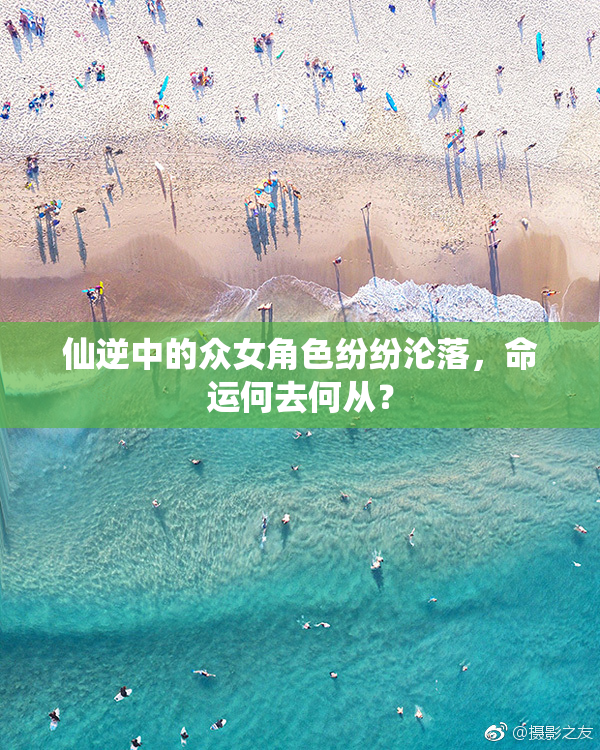 仙逆中的众女角色纷纷沦落，命运何去何从？
