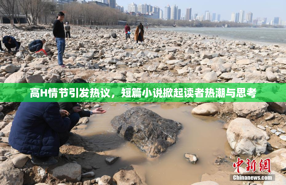 高H情节引发热议，短篇小说掀起读者热潮与思考