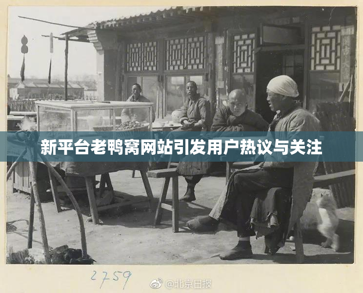 新平台老鸭窝网站引发用户热议与关注