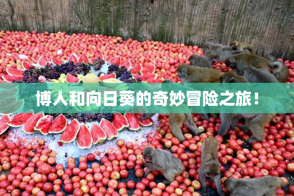 博人和向日葵的奇妙冒险之旅！