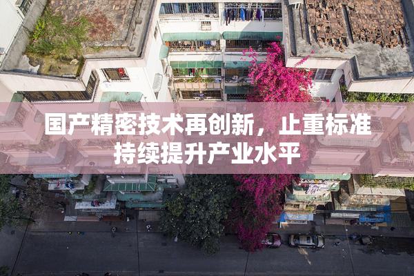国产精密技术再创新，止重标准持续提升产业水平