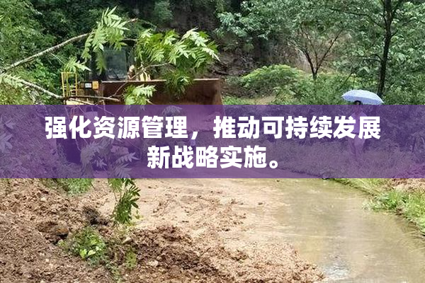 强化资源管理，推动可持续发展新战略实施。