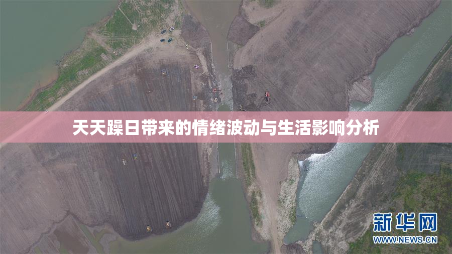 天天躁日带来的情绪波动与生活影响分析