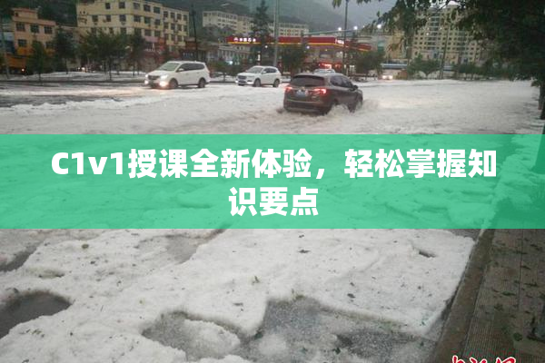 C1v1授课全新体验，轻松掌握知识要点