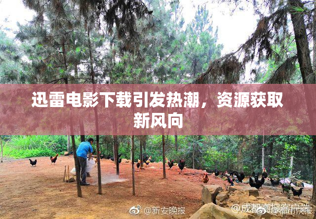 迅雷电影下载引发热潮，资源获取新风向