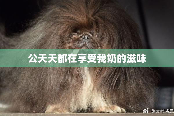 公天天都在享受我奶的滋味