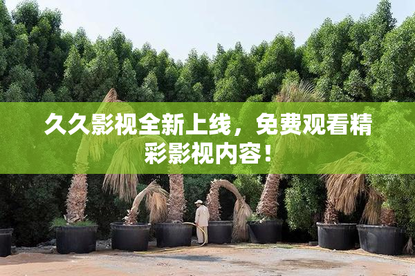 久久影视全新上线，免费观看精彩影视内容！