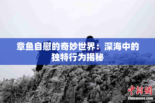 章鱼自慰的奇妙世界：深海中的独特行为揭秘
