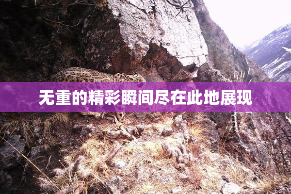 无重的精彩瞬间尽在此地展现