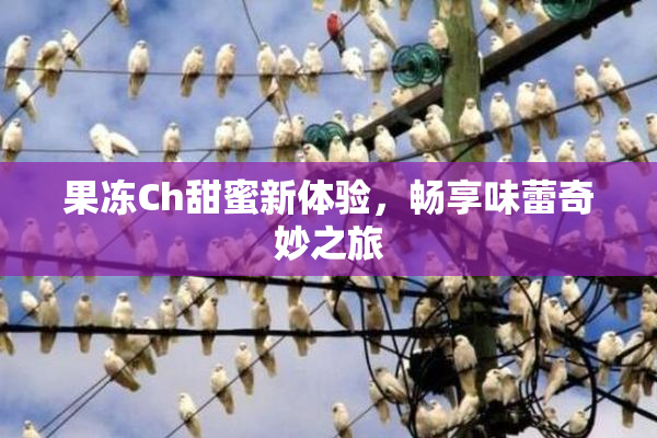果冻Ch甜蜜新体验，畅享味蕾奇妙之旅