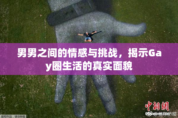 男男之间的情感与挑战，揭示Gay圈生活的真实面貌