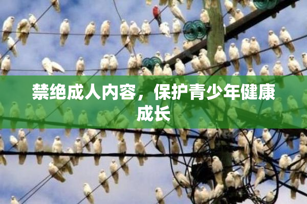 禁绝成人内容，保护青少年健康成长