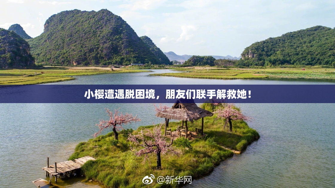 小樱遭遇脱困境，朋友们联手解救她！
