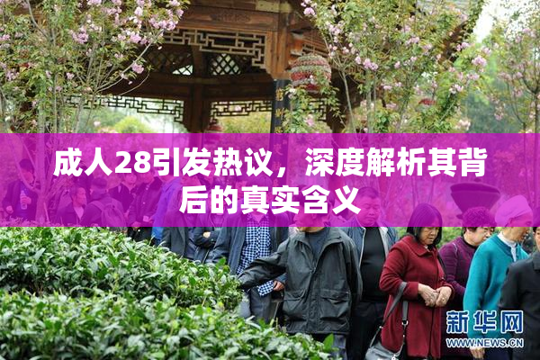 成人28引发热议，深度解析其背后的真实含义
