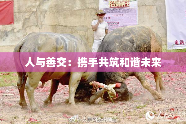 人与善交：携手共筑和谐未来
