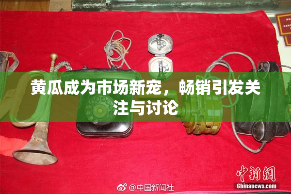 黄瓜成为市场新宠，畅销引发关注与讨论