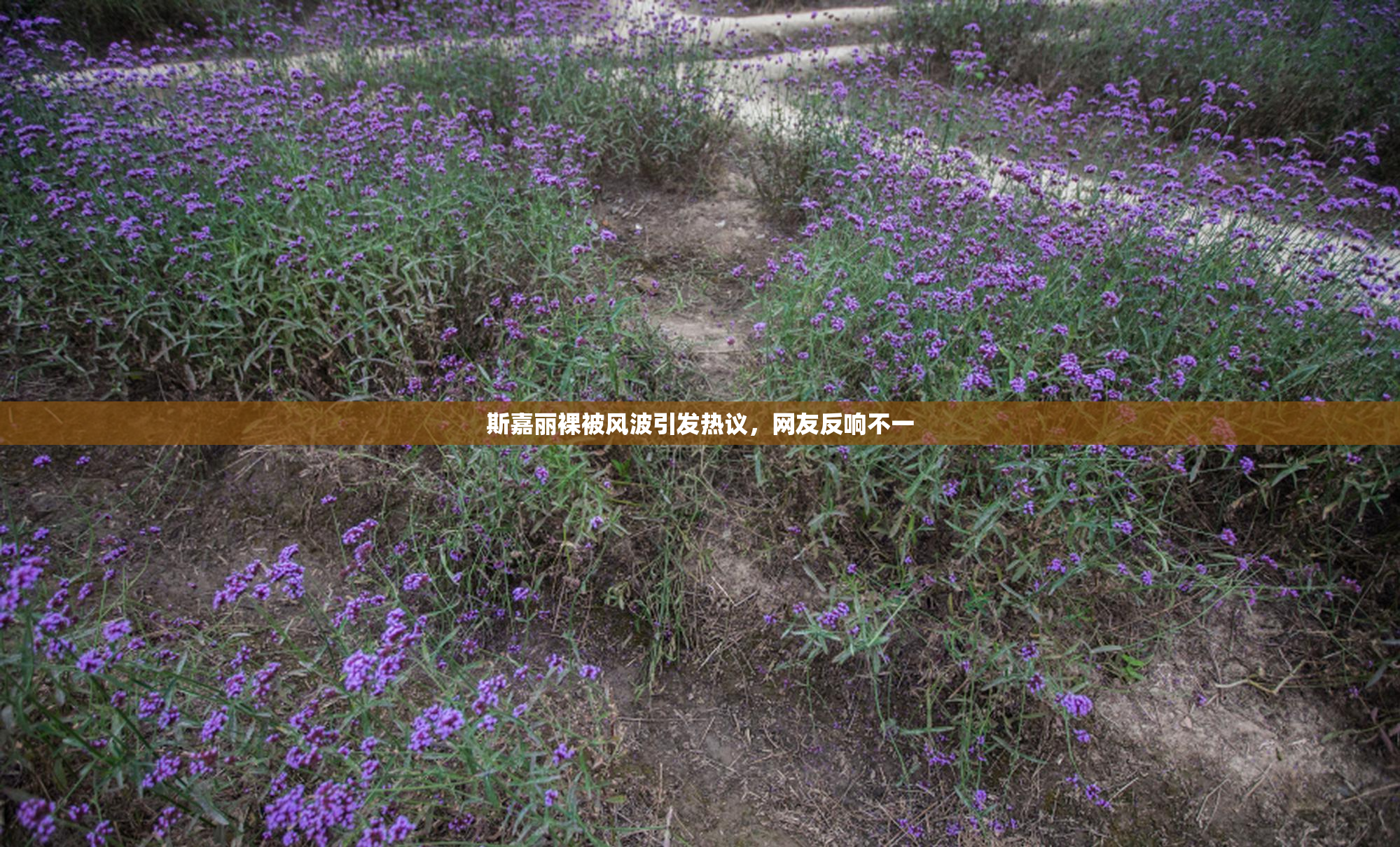 斯嘉丽裸被风波引发热议，网友反响不一