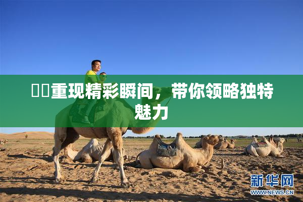 妺妺重现精彩瞬间，带你领略独特魅力