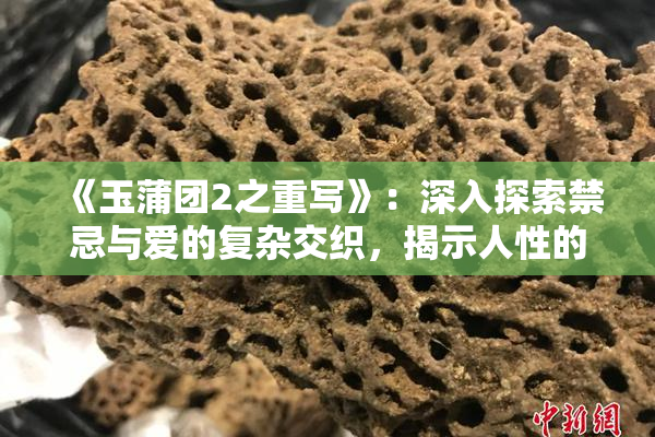 《玉蒲团2之重写》：深入探索禁忌与爱的复杂交织，揭示人性的多重面貌！