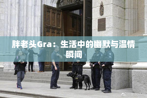 胖老头Gra：生活中的幽默与温情瞬间