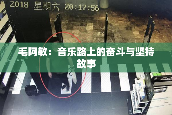 毛阿敏：音乐路上的奋斗与坚持故事