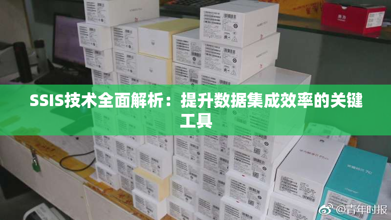 SSIS技术全面解析：提升数据集成效率的关键工具