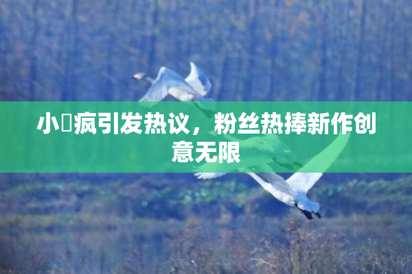 小泬疯引发热议，粉丝热捧新作创意无限