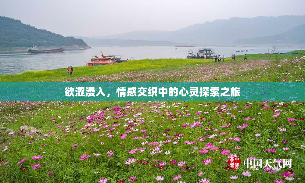 欲涩漫入，情感交织中的心灵探索之旅