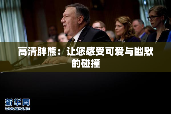 高清胖熊：让您感受可爱与幽默的碰撞