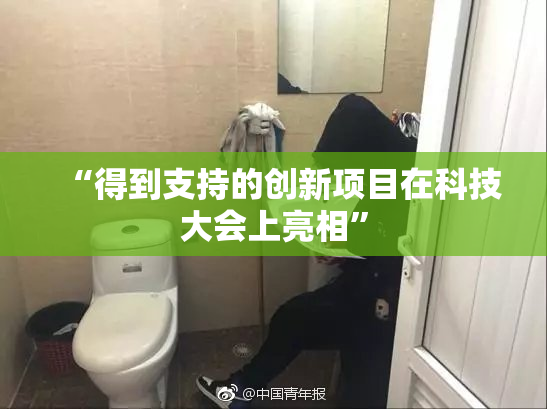 “得到支持的创新项目在科技大会上亮相”