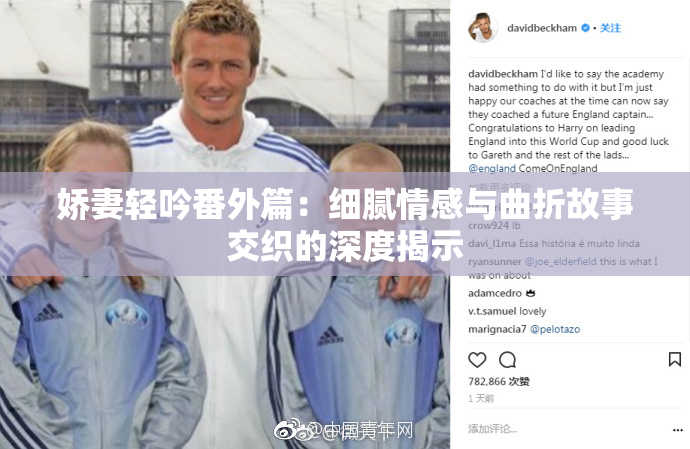 娇妻轻吟番外篇：细腻情感与曲折故事交织的深度揭示
