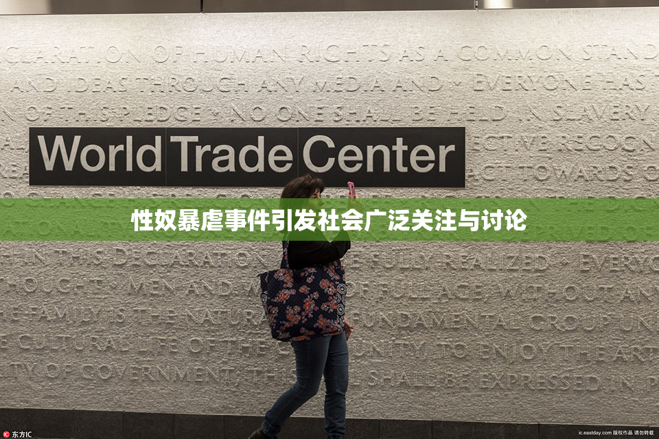 性奴暴虐事件引发社会广泛关注与讨论