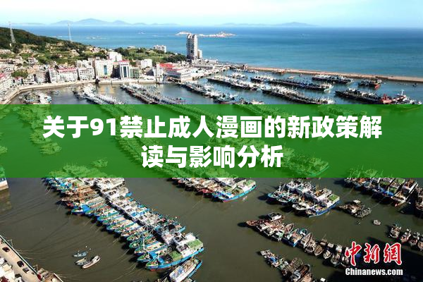 关于91禁止成人漫画的新政策解读与影响分析
