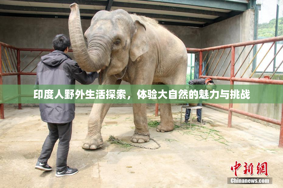 印度人野外生活探索，体验大自然的魅力与挑战