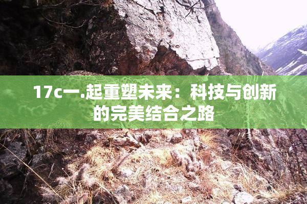 17c一.起重塑未来：科技与创新的完美结合之路