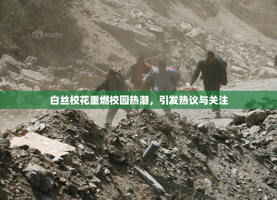 白丝校花重燃校园热潮，引发热议与关注