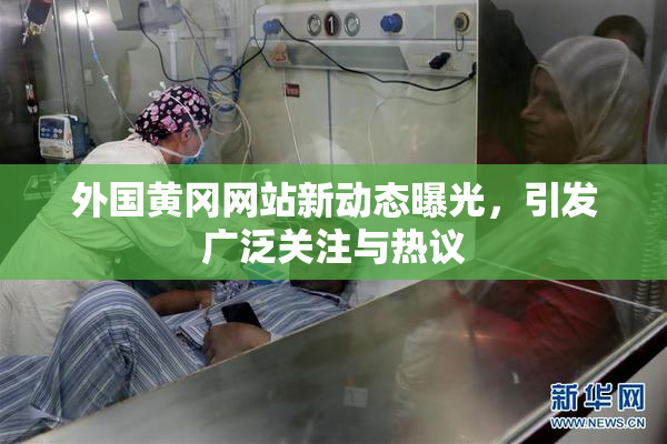 外国黄冈网站新动态曝光，引发广泛关注与热议