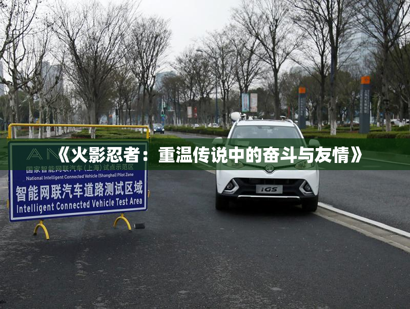 《火影忍者：重温传说中的奋斗与友情》