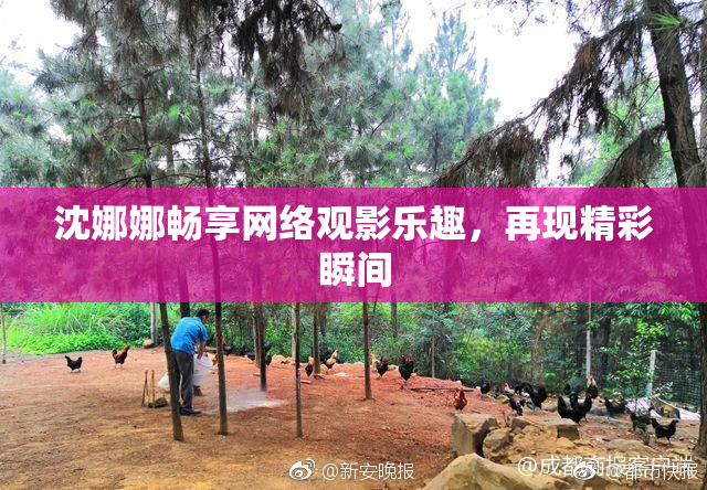 沈娜娜畅享网络观影乐趣，再现精彩瞬间
