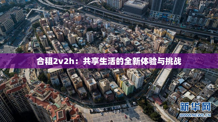 合租2v2h：共享生活的全新体验与挑战